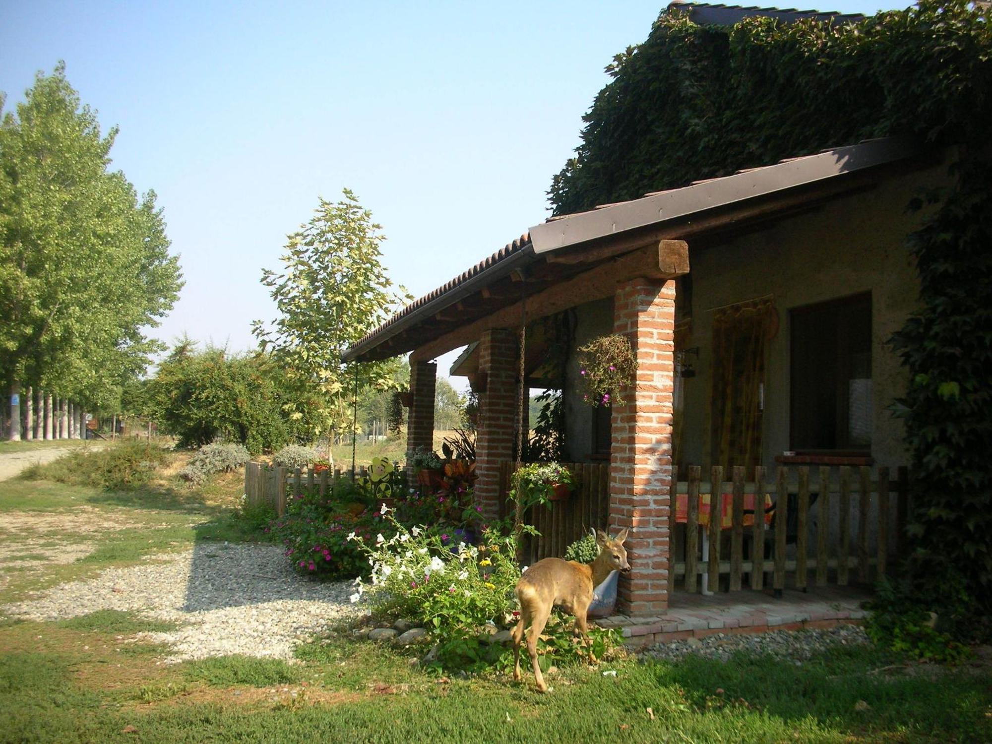 Cascina Beneficio Villa Castelnuovo Bormida Exterior photo